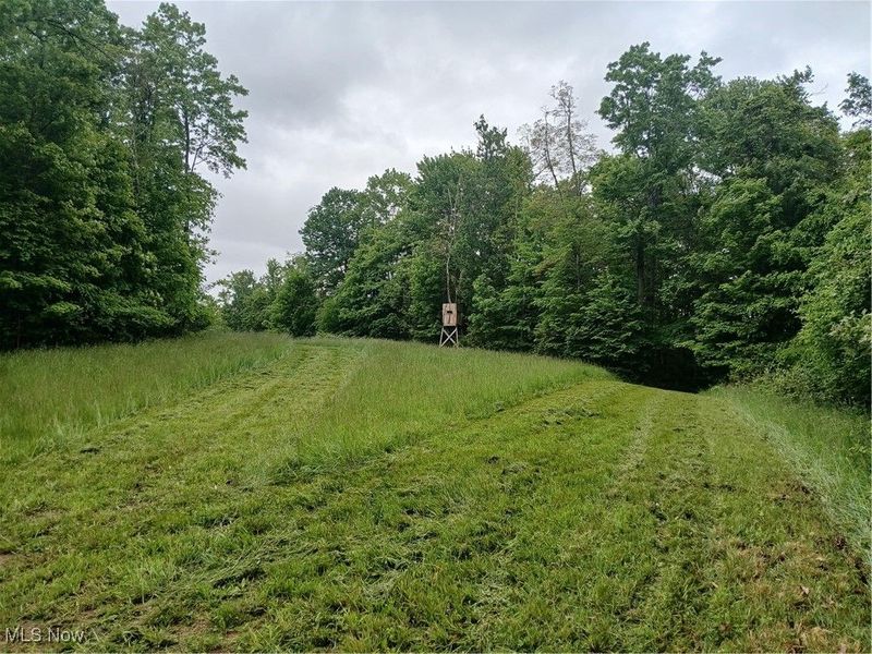 85200 Merryman Road, Cadiz, OH 43907 Photo 49