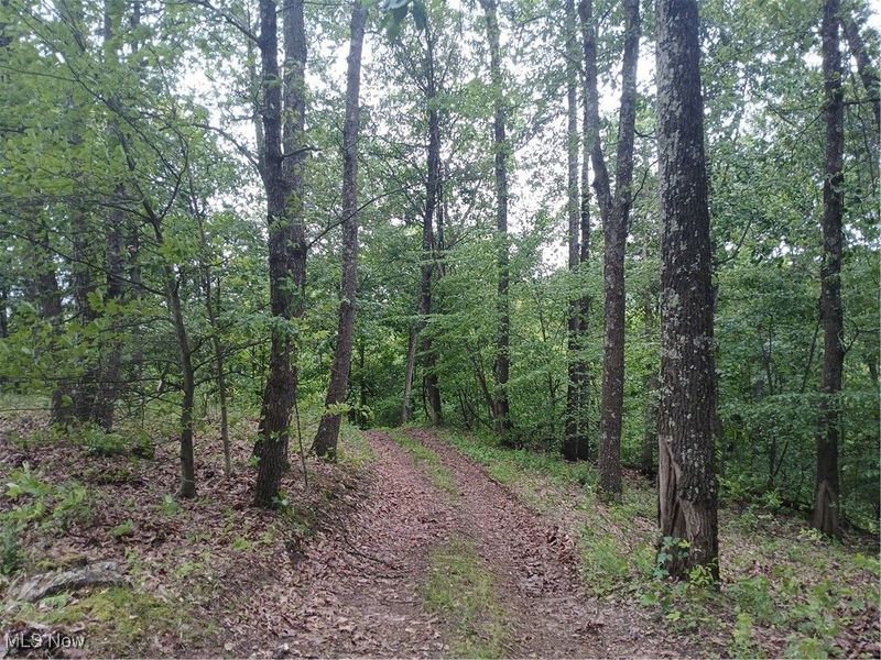 85200 Merryman Road, Cadiz, OH 43907 Photo 50