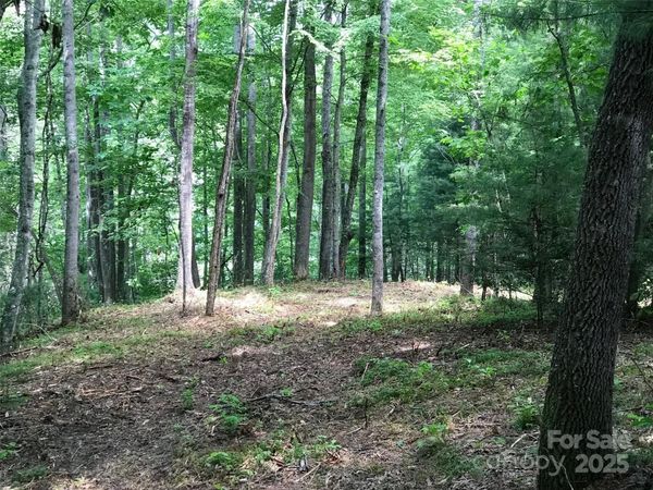 68 Fallsbrook Drive, Tuckasegee, NC 28783