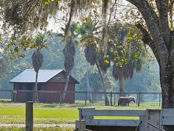 9601 SW Fox Brown Road, Indiantown, FL 34956