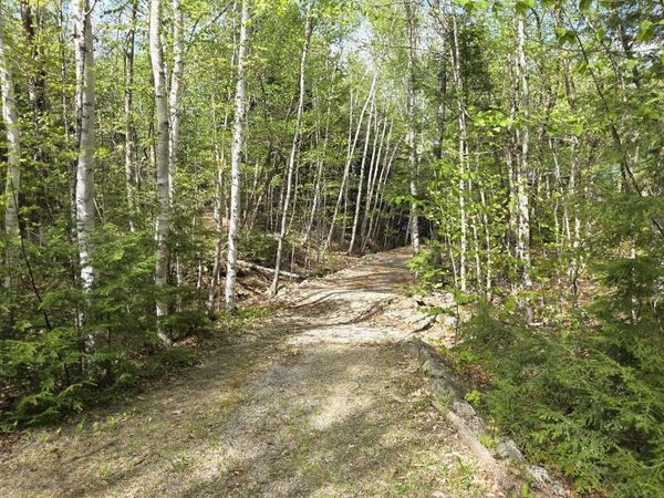 1261 Turkey Tail Road, T4 Indian Purchase Twp, ME 04462