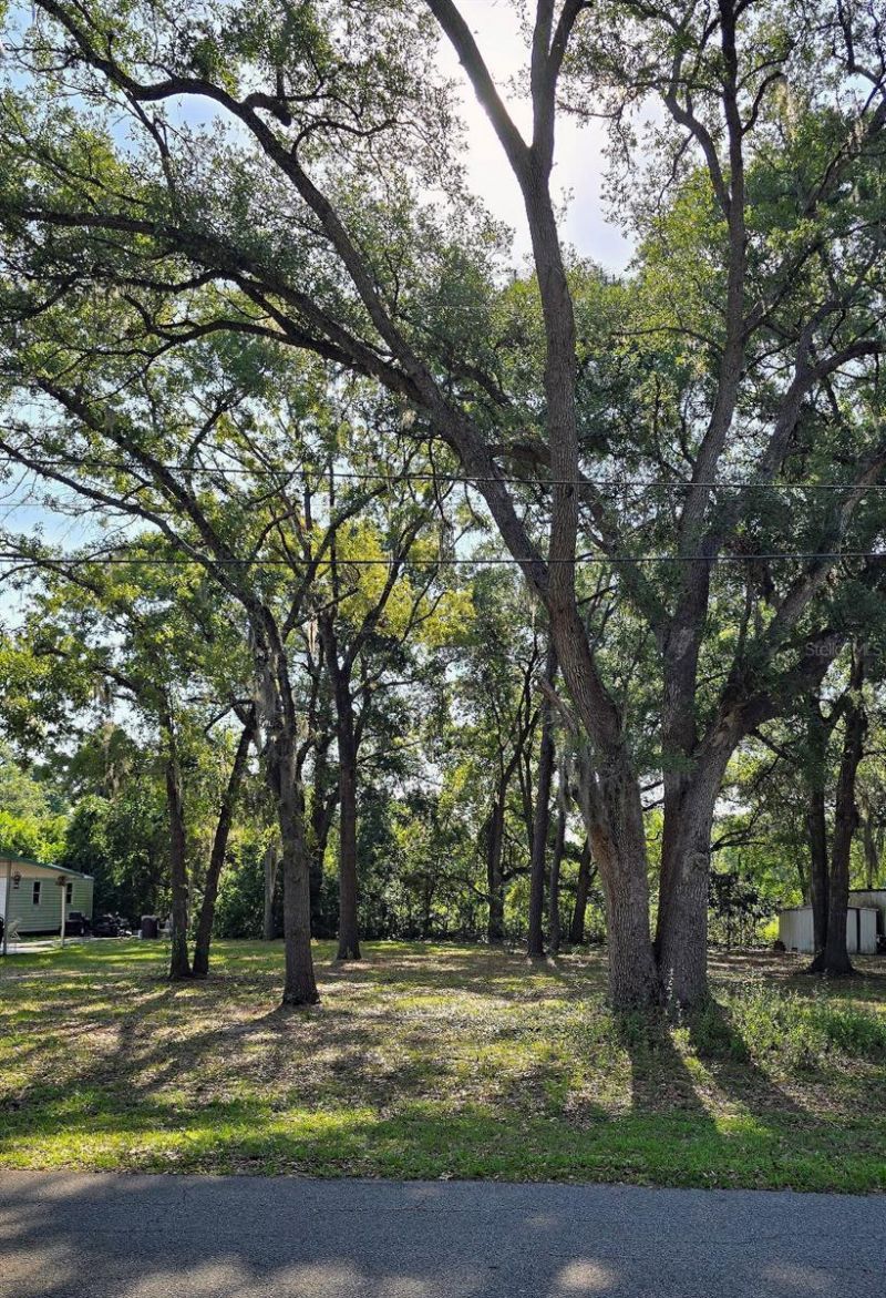 16055 SE 99th Terrace, Summerfield, FL 34491