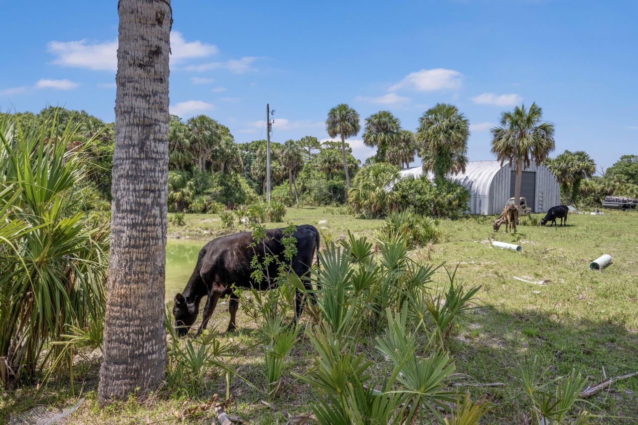 13351 Williams Road, Port Saint Lucie, FL 34987 Photo