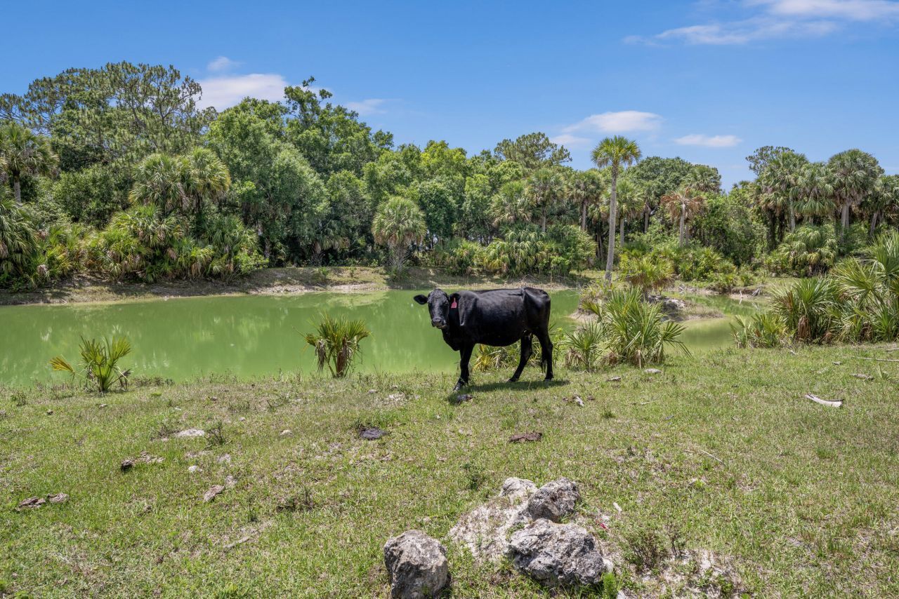 13351 Williams Road, Port Saint Lucie, FL 34987 Photo