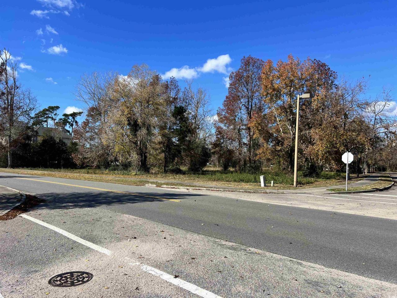 4451 Oleander Dr. Photo 5