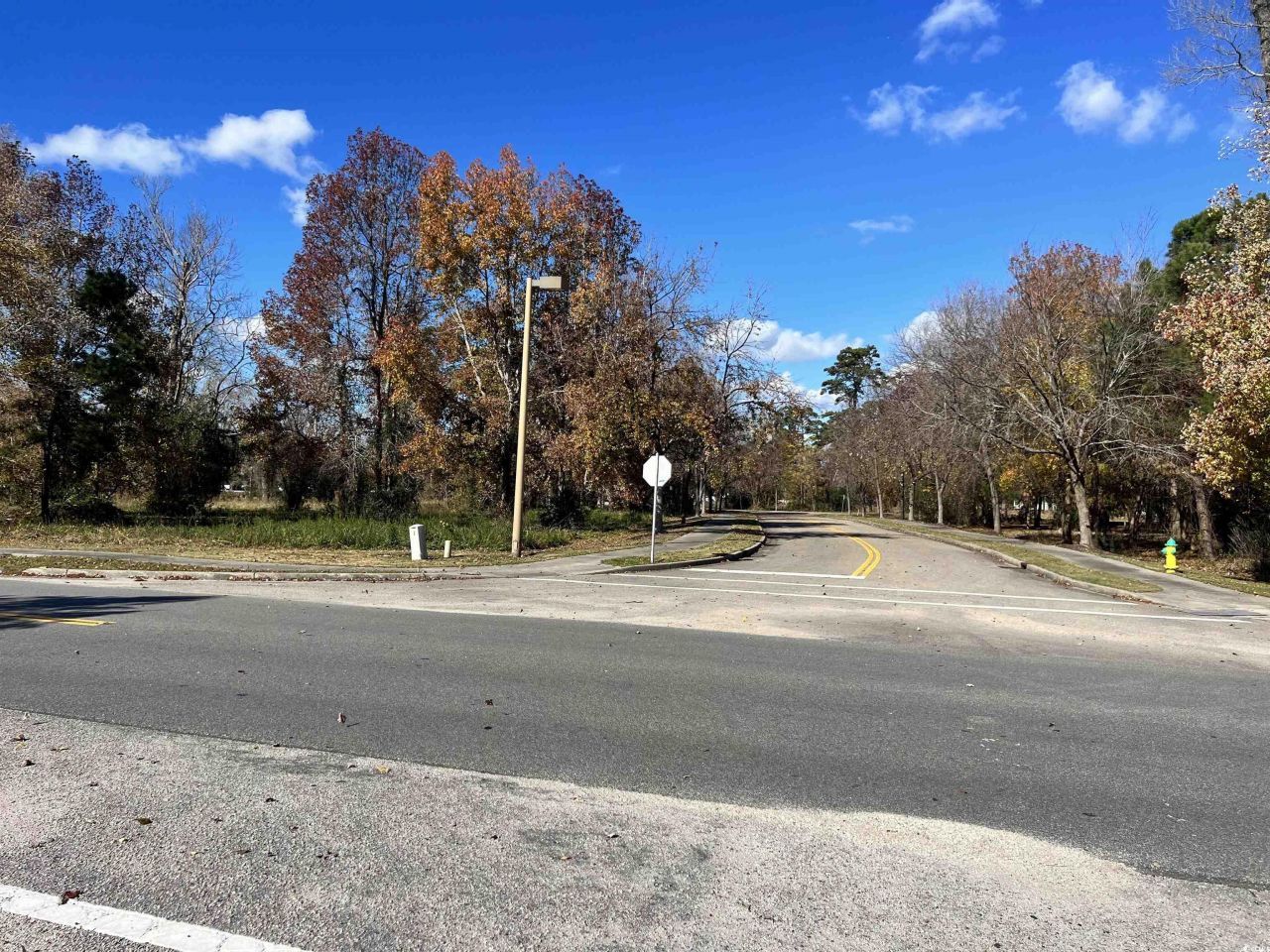 4451 Oleander Dr. Photo 6