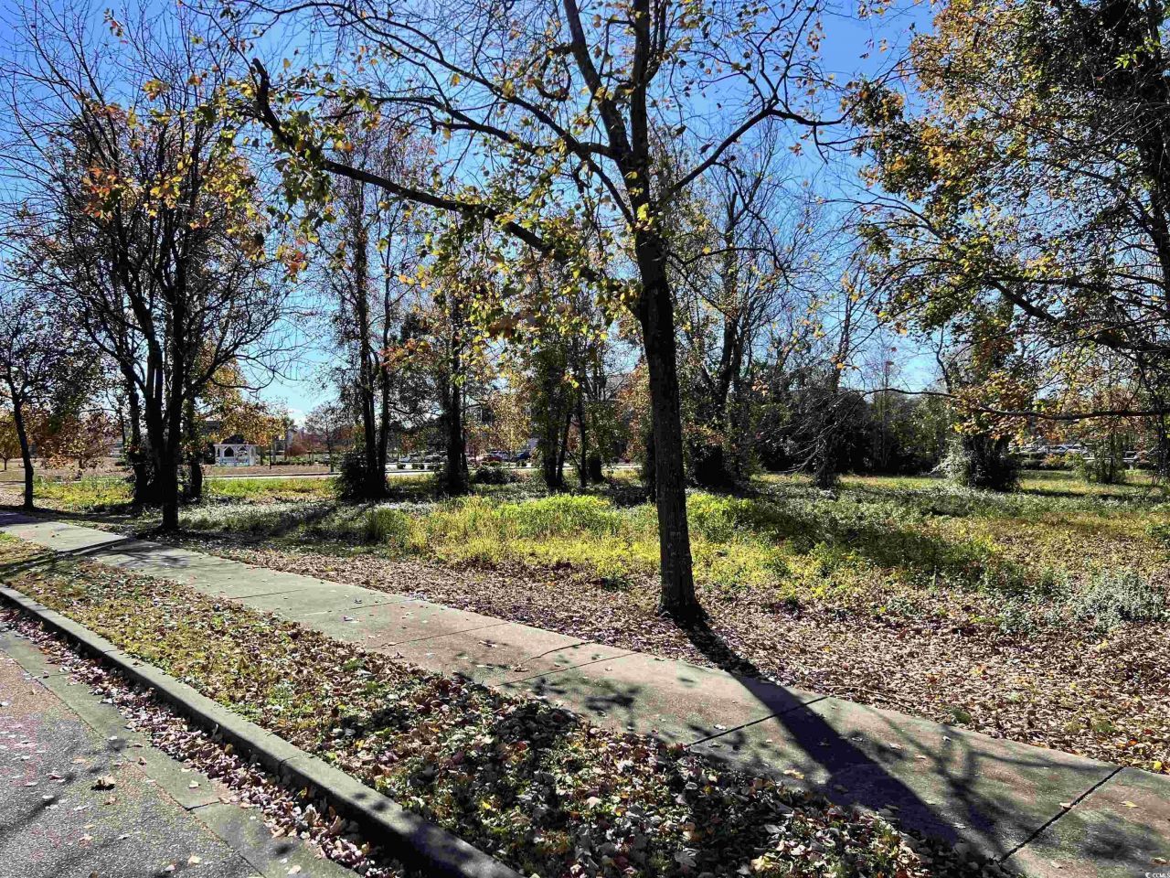 4451 Oleander Dr. Photo 7