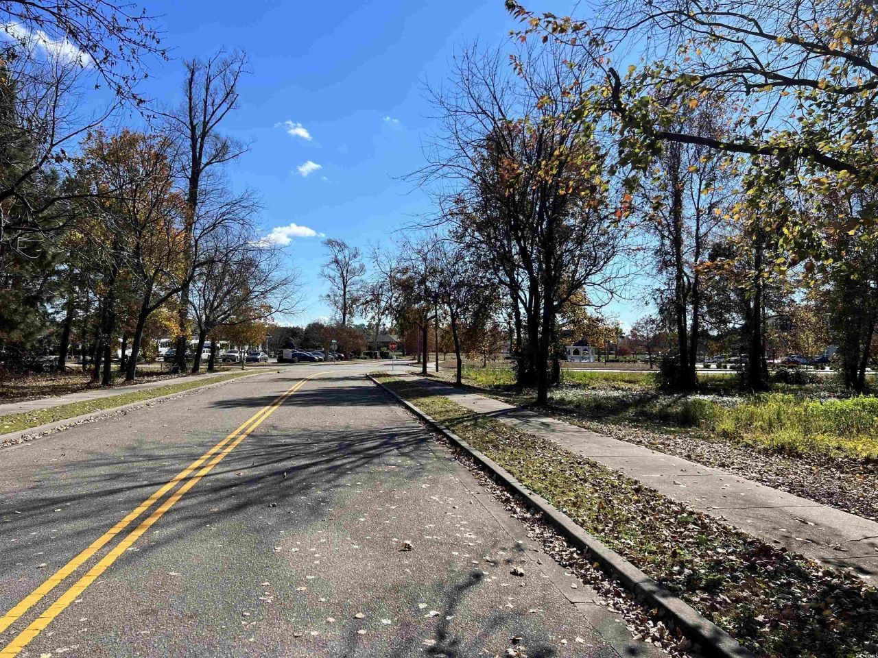 4451 Oleander Dr. Photo 8