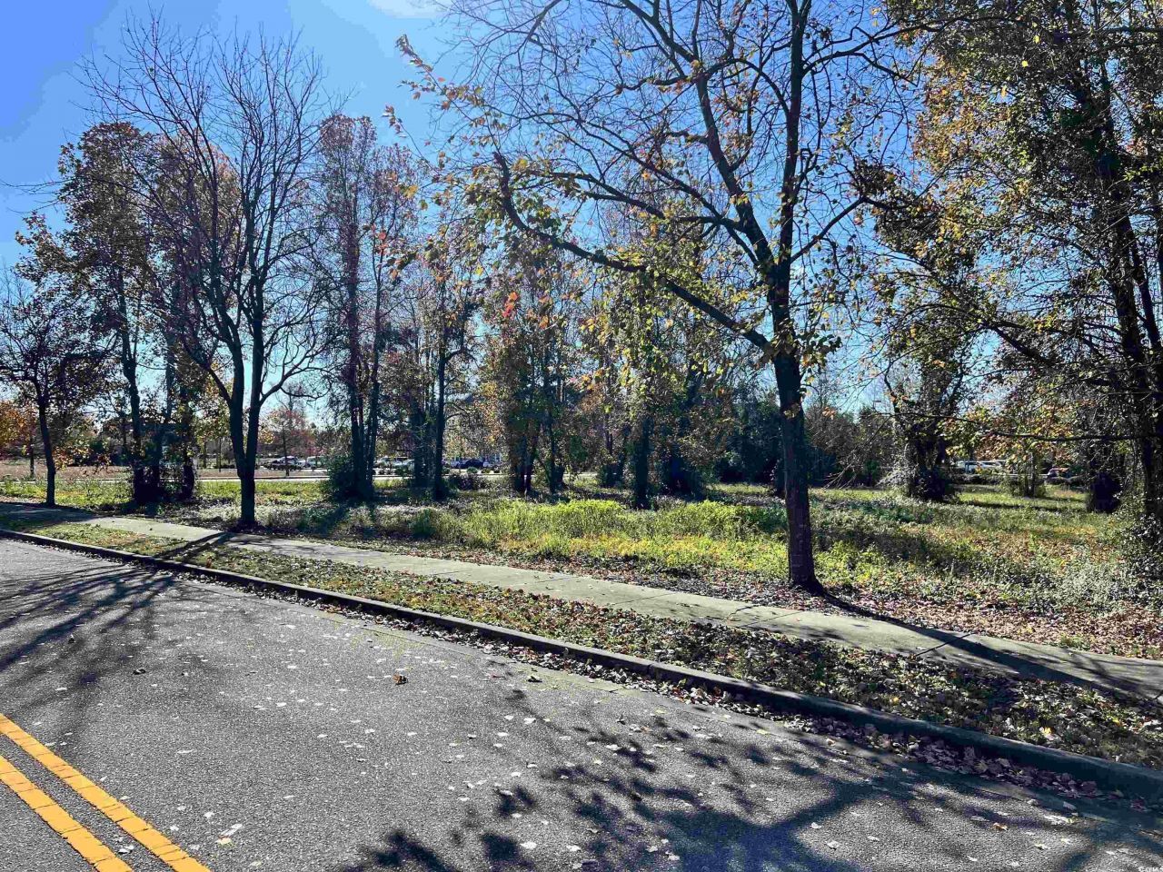 4451 Oleander Dr. Photo 9