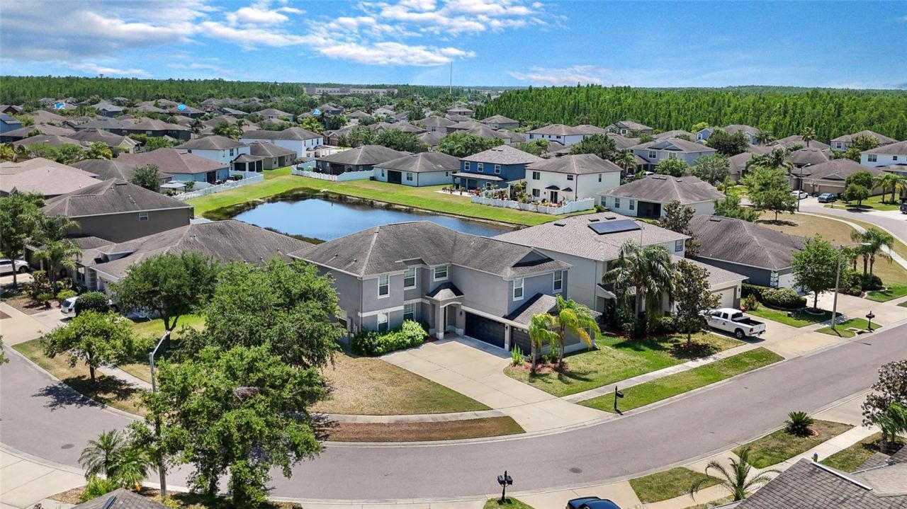 3862 Tristram Loop, Land O Lakes, FL 34638 Main Photo