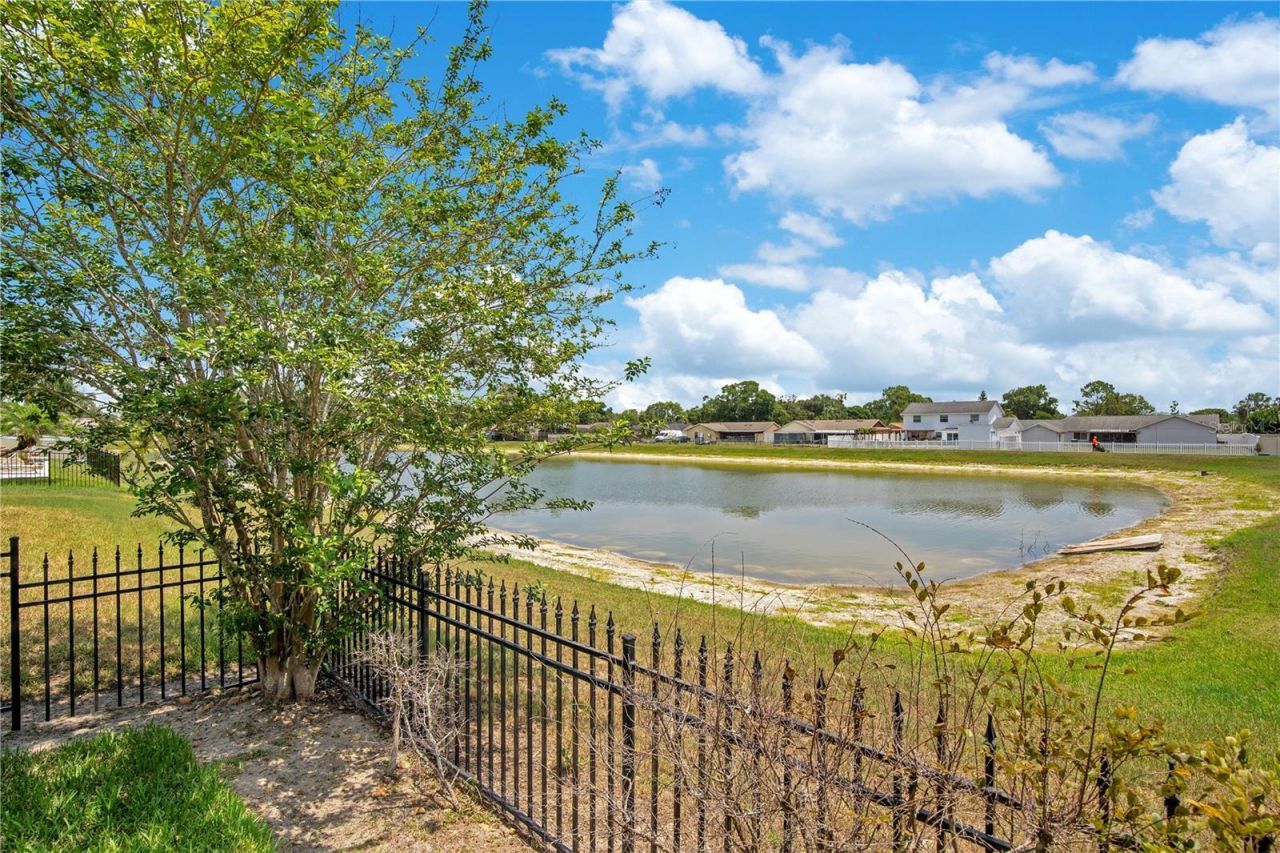 4047 Lillian Hall Lane, Orlando, FL 32812 Photo