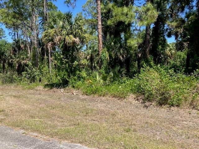 5016 Treasure Lane, Labelle, FL 33935 Photo