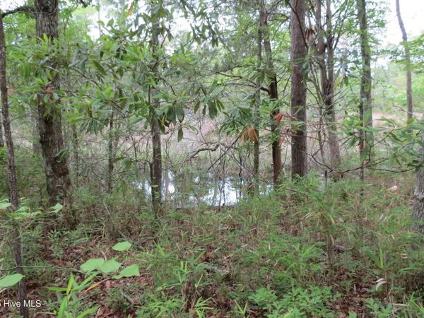 117 Shoreline Court, Oriental, NC 28571