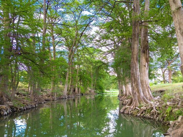 TRACT 5 46 FM 1621, Comfort, TX 78013