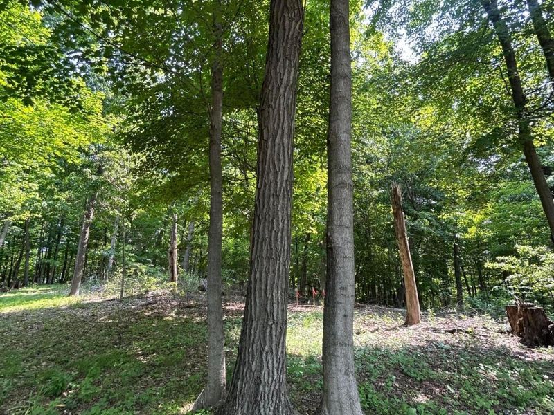 0 Cumberland Crest, Heath, OH 43056 Photo 25