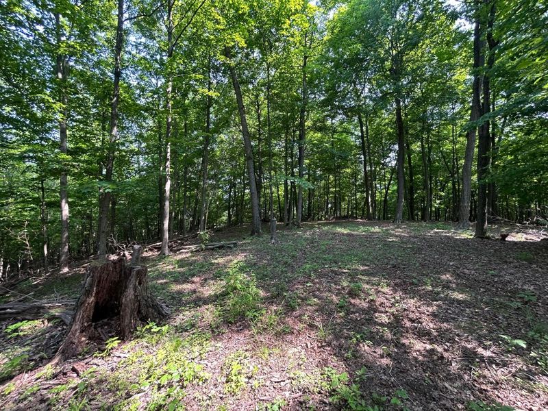 0 Cumberland Crest, Heath, OH 43056 Photo 28