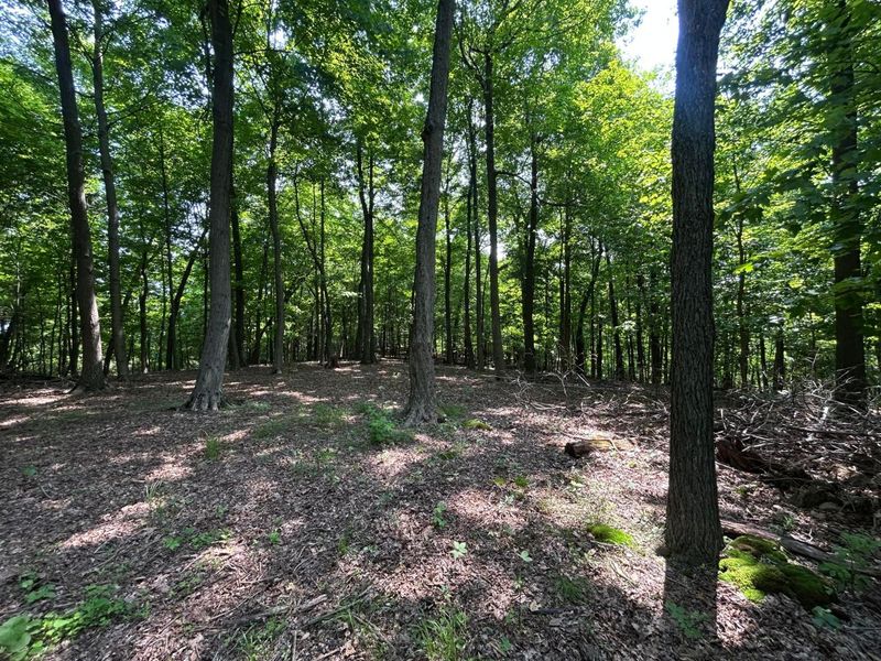 0 Cumberland Crest, Heath, OH 43056 Photo 29