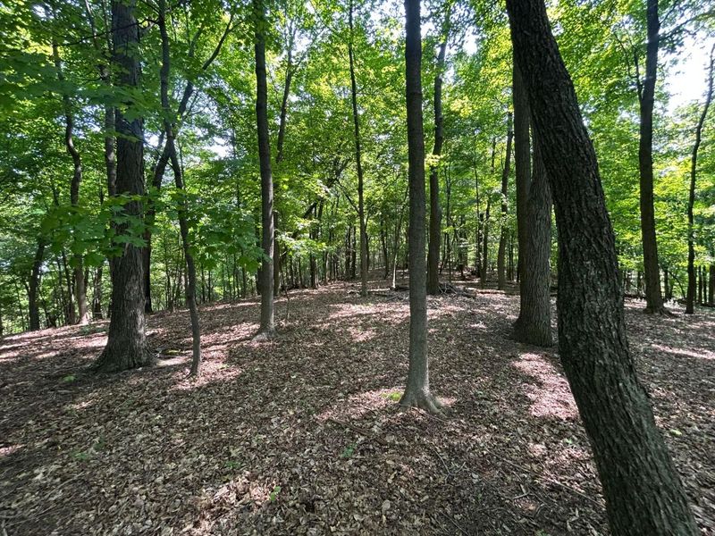 0 Cumberland Crest, Heath, OH 43056 Photo 30
