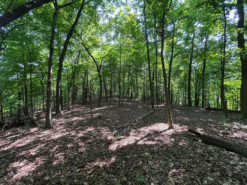 0 Cumberland Crest, Heath, OH 43056 Photo 33