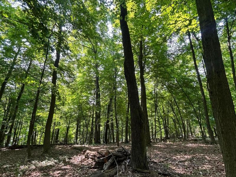 0 Cumberland Crest, Heath, OH 43056 Photo 34