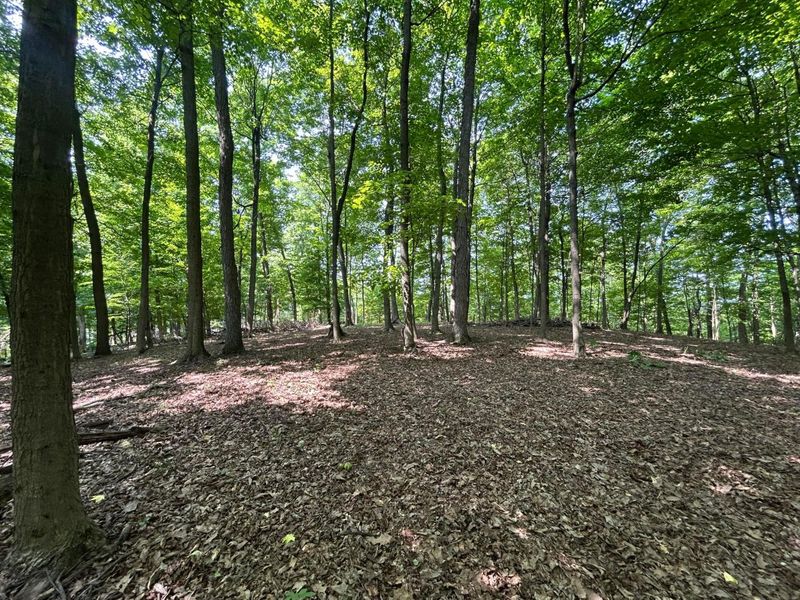 0 Cumberland Crest, Heath, OH 43056 Photo 35