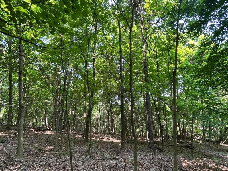 0 Cumberland Crest, Heath, OH 43056 Photo 37