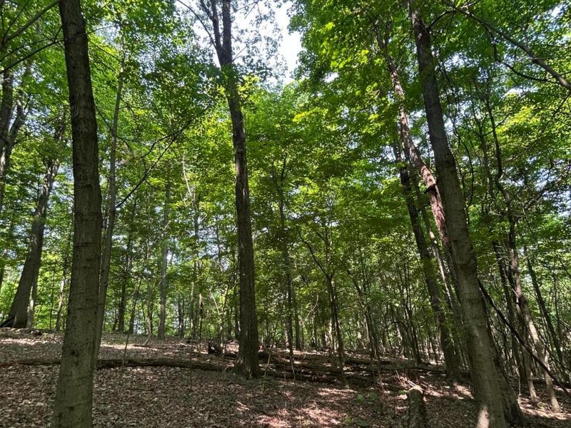 0 Cumberland Crest, Heath, OH 43056 Photo 38