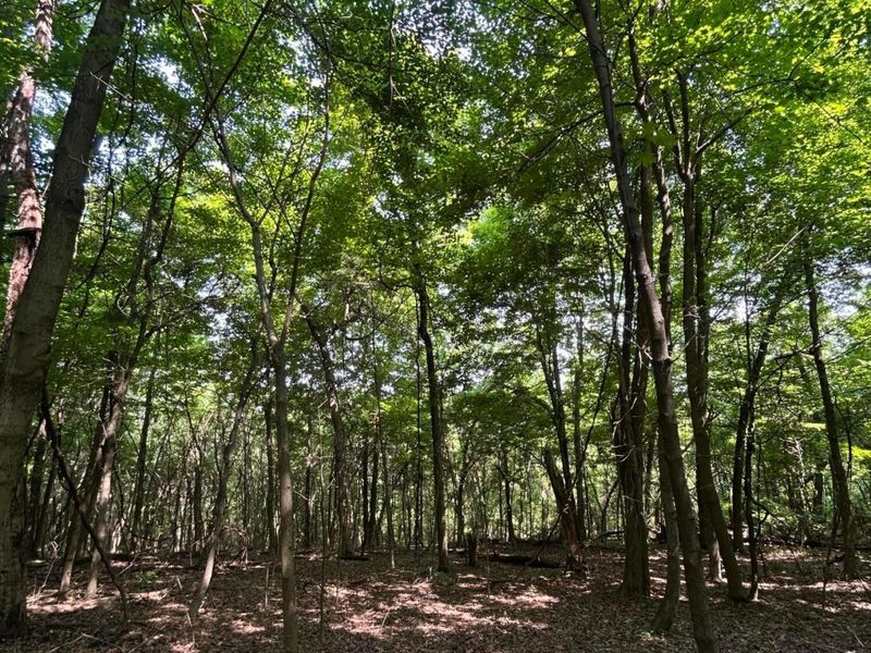 0 Cumberland Crest, Heath, OH 43056 Photo 39