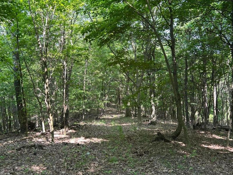 0 Cumberland Crest, Heath, OH 43056 Photo 40