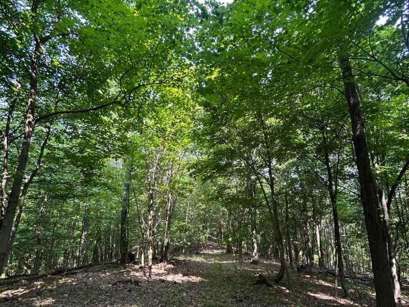 0 Cumberland Crest, Heath, OH 43056 Photo 41