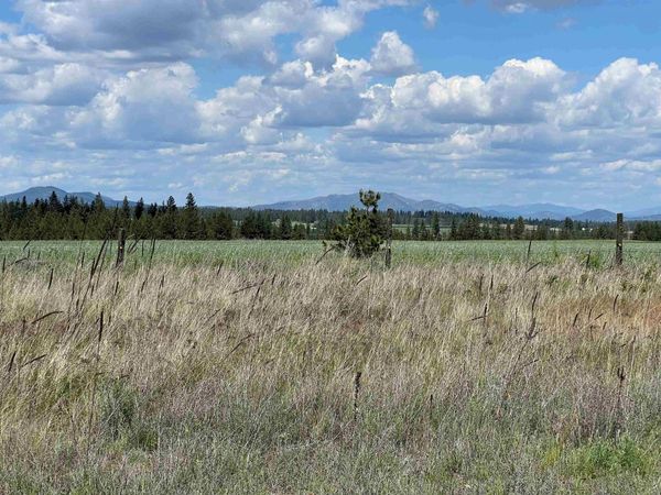 XXX N Wood Rd, Reardan, WA 99029