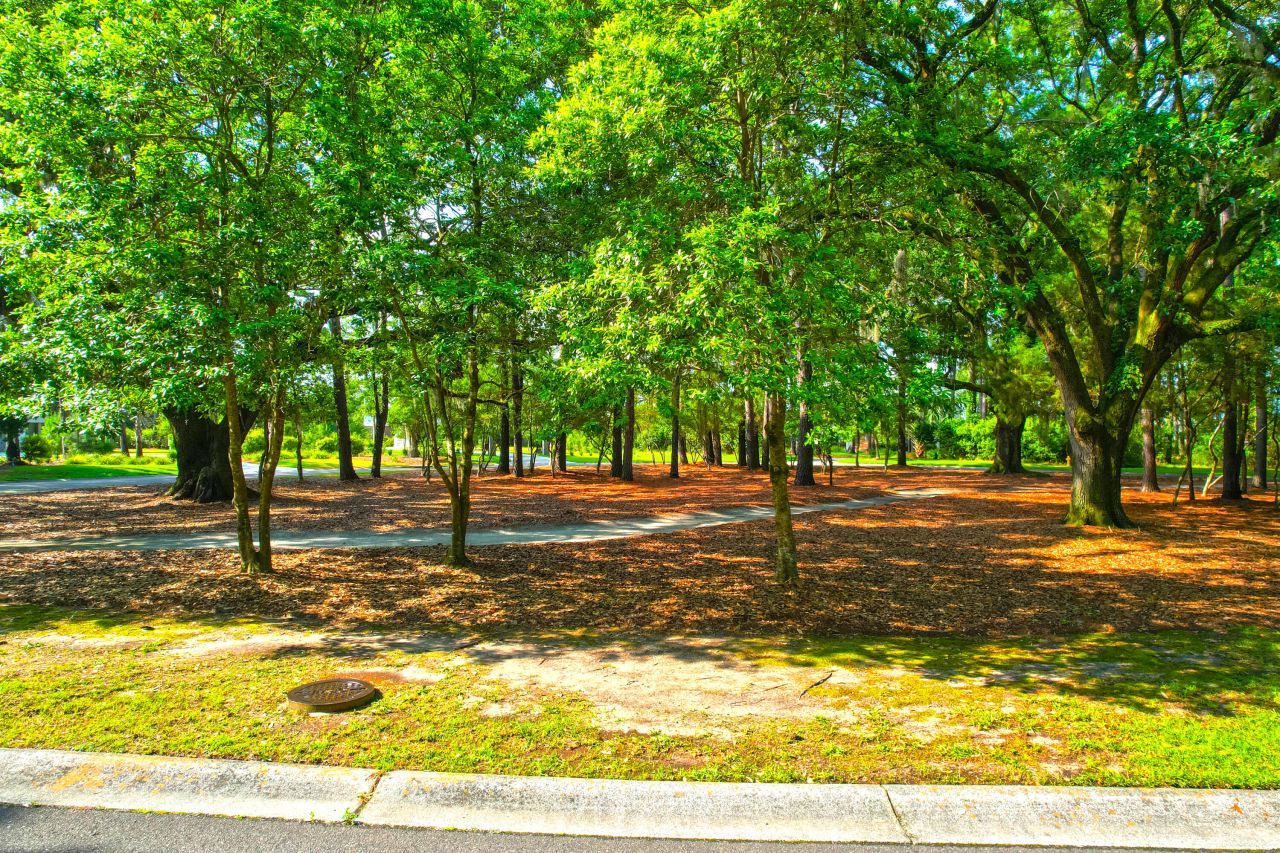 1452 Mcpherson Landing Photo 38