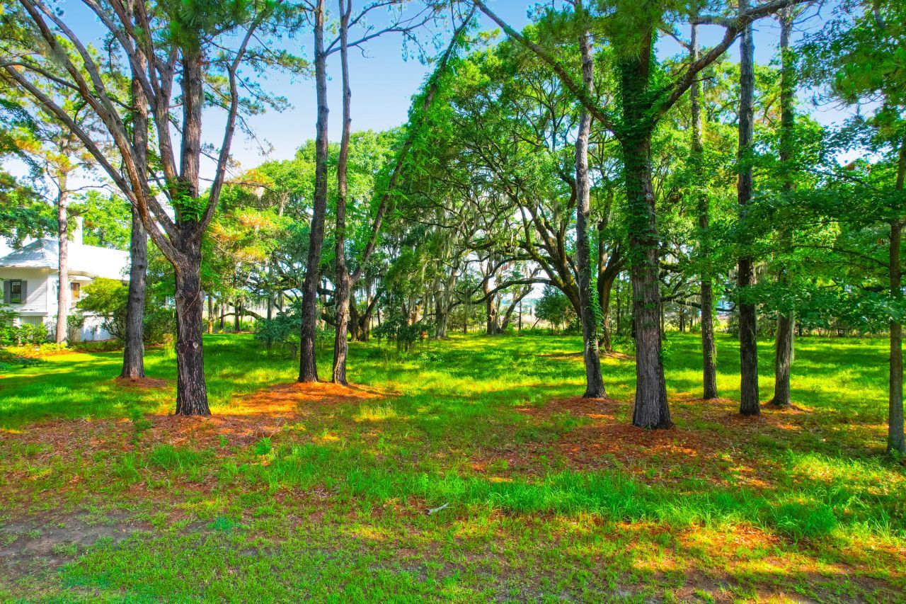 1452 Mcpherson Landing Photo 4