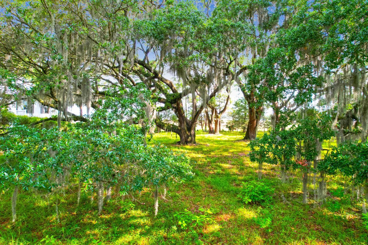 1452 Mcpherson Landing Photo 5