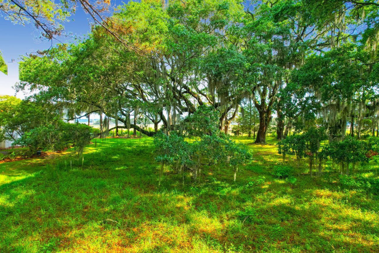 1452 Mcpherson Landing Photo 6