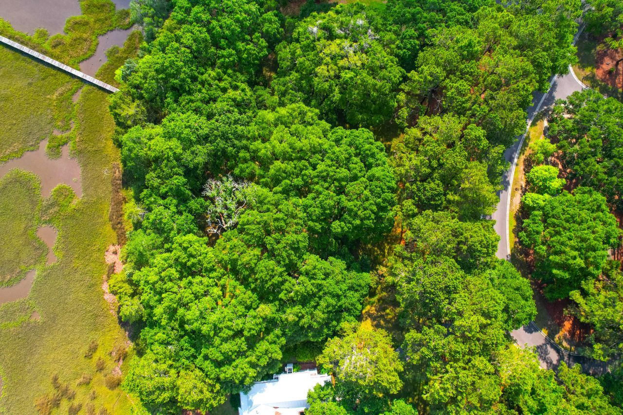 1452 Mcpherson Landing Photo 8