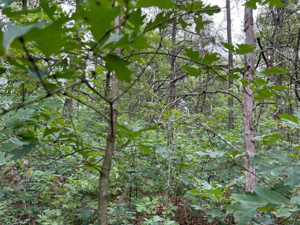 V/L W Lake Murray Street, Baldwin, MI 49304