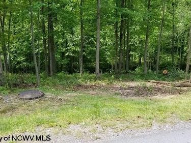 209 Woodside Lane, Bridgeport, WV 26330