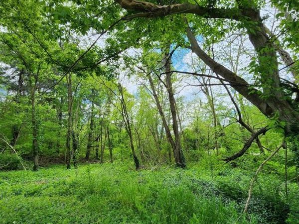 0000 Rineyville Big Springs, Rineyville, KY 40162