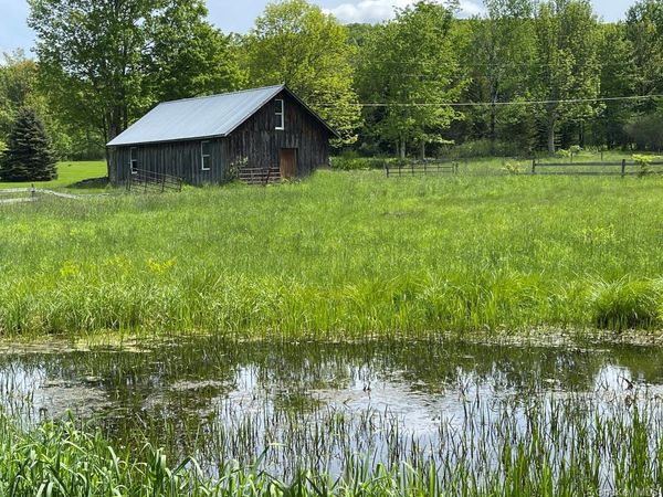 Menges Road, Youngsville, NY 12791