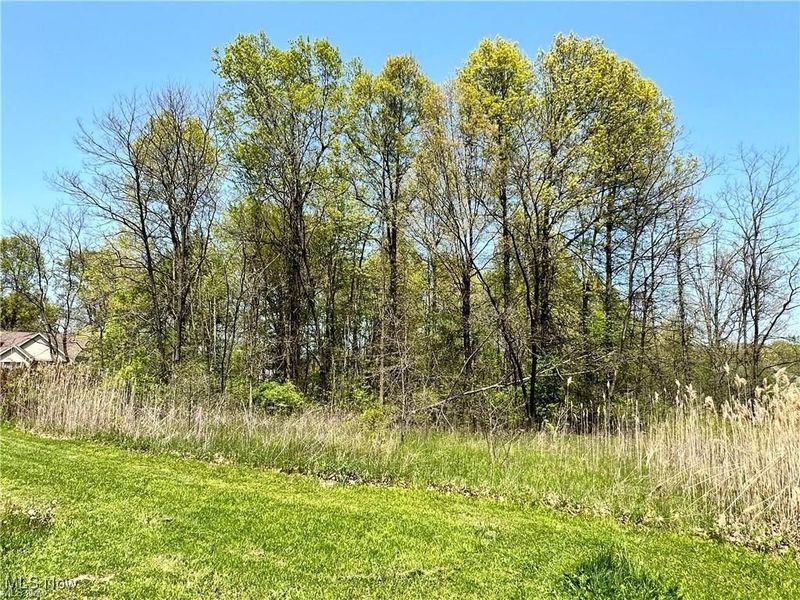 2139 Coates Drive, Girard, OH 44420 Photo 2
