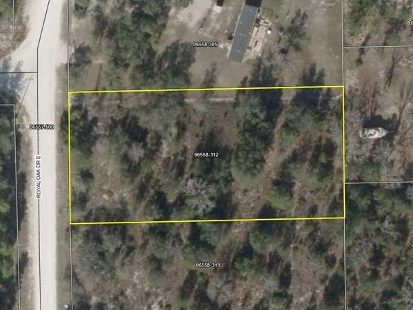 00 E ROYAL OAK DRIVE COVE, PERRY, FL 32348