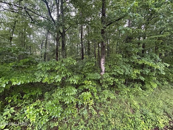 Wilder Rd, Clarkrange, TN 38553