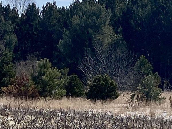 7430 Rapid City Road, Rapid City, MI 49676