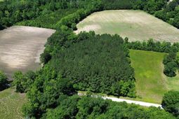 Tbd Sparrow Ln. photo 4