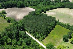 Tbd Sparrow Ln. photo 4