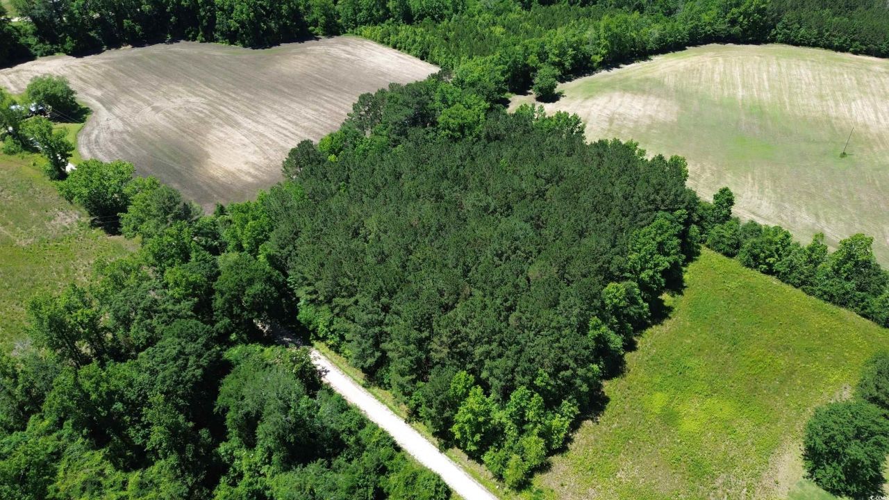 Tbd Sparrow Ln. Photo 5