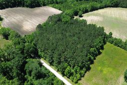 Tbd Sparrow Ln. photo 4