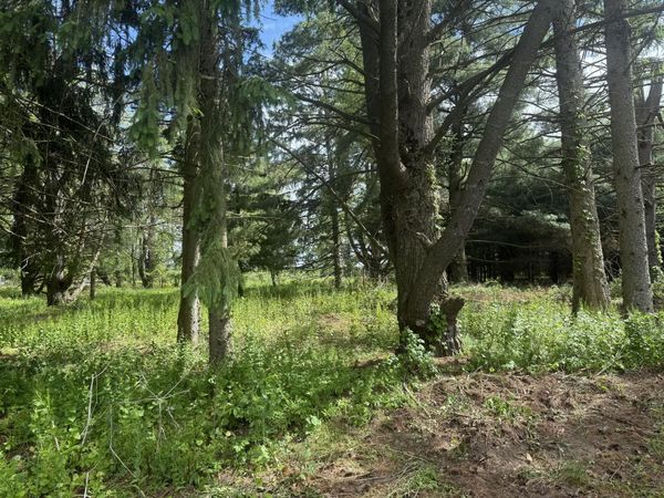 VL - LOT A Rawson Lane, Vicksburg, MI 49097