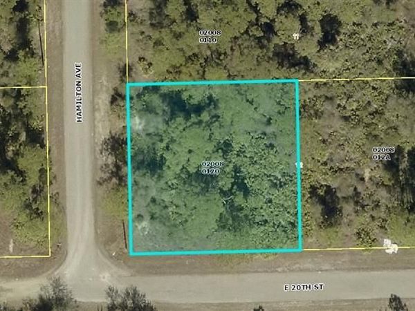 3001 20th ST E, ALVA, FL 33920